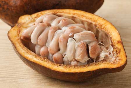 Cacao beans in pod