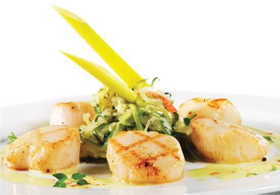 Scallops