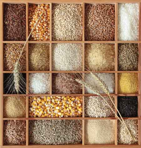 Grains come in many colors and sizes.