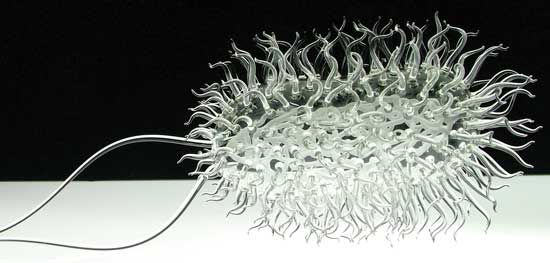 Glass sculpture of Escherichia coli 