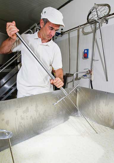 A cheesemaker cuts the curd during cheese processing. ©muri30/iStock/Thinkstock
