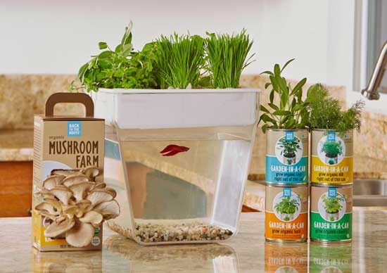 Back to the Roots plant-growing kits 
