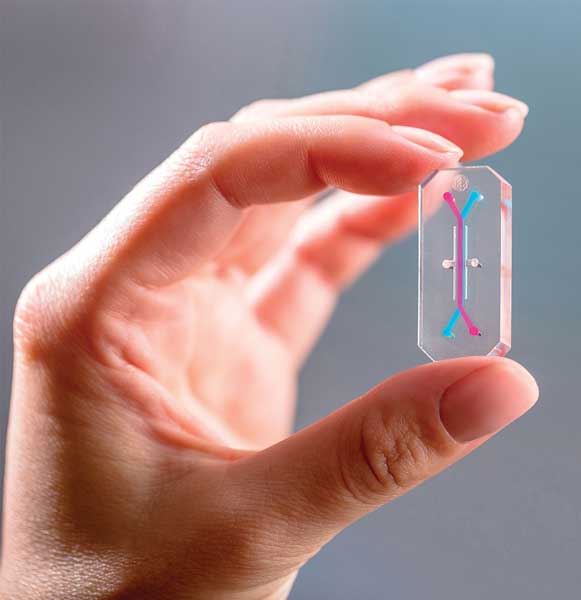 Emulate Inc.’s organs-on-chips.