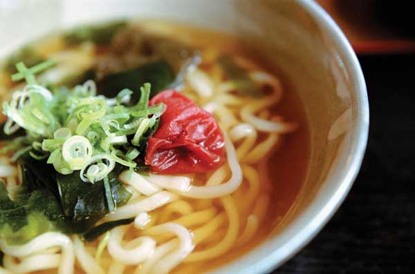 Dairy protein udon noodle soup
