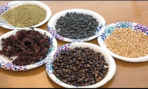 Yerba mate, hibiscus tea, black beans, soybeans, and red corn.