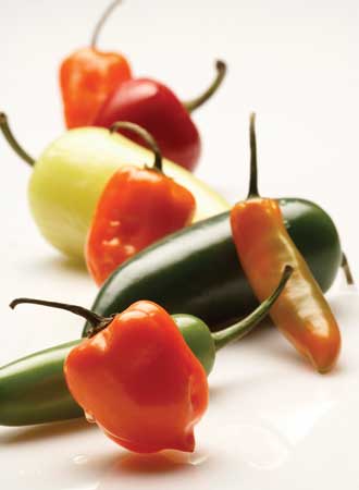 Spicy peppers