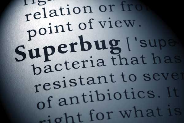 Superbug