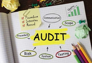 Audit