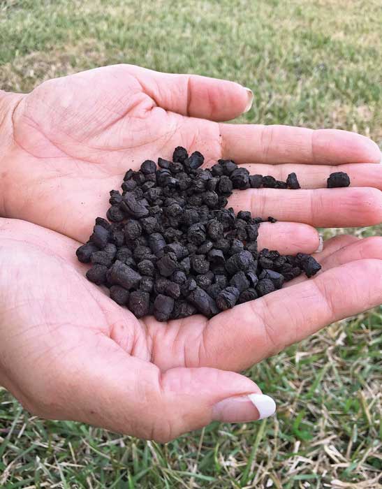 Biochar, a carbon-rich charcoal made from leafy trash and bagasse.