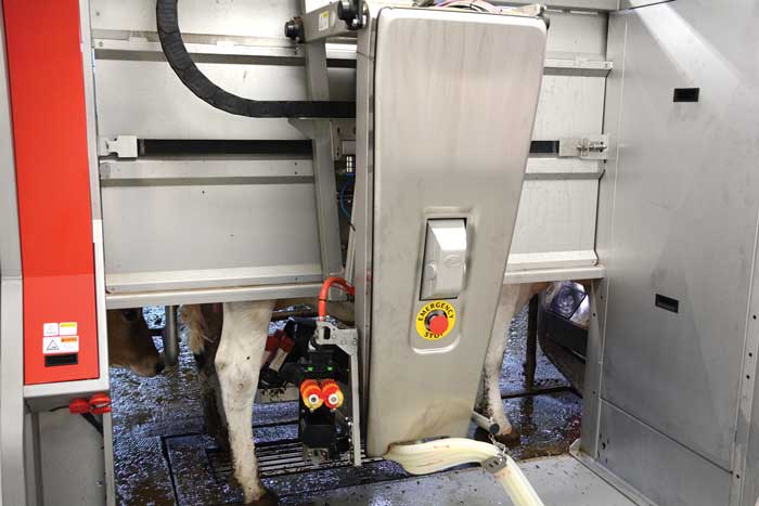 Utah State University robotic milking barn machine.