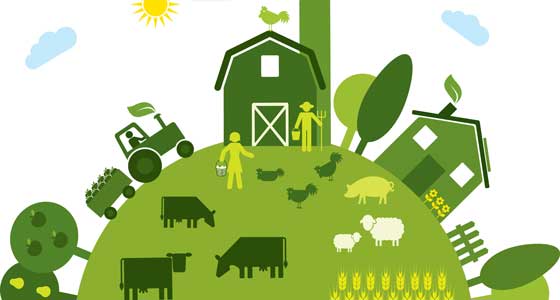 Lessons in Sustainable Livestock Production 