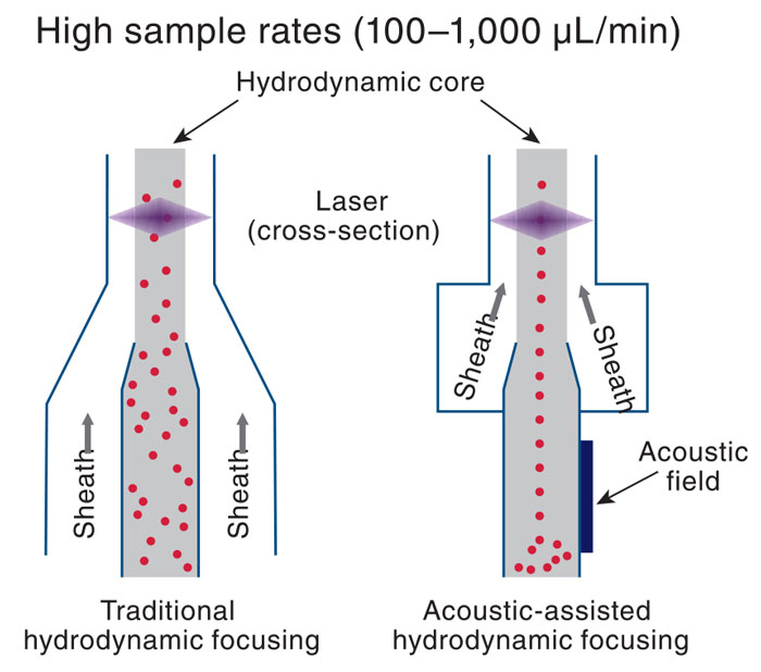 Applying Flow Cytometry to Food and Dietary Supplements