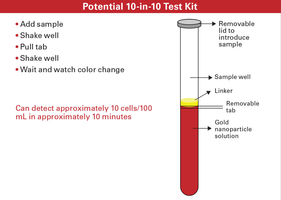 Potential test setup for rapid visible detection of bacteria has the form of a tube divided by a pull tab. The user would add the sample to the tube, shake well, pull the tab, shake well again, and then watch for a color change. The test uses gold nanoparticles that change color upon aggregation and switchable linkers that control the extent of aggregation.