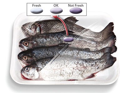 Biosensors printed as paper dots can be applied to packaging to detect spoilage of fish and other foods.