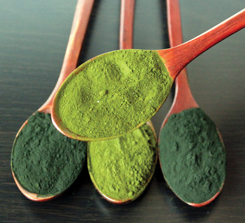 Spirulina and Chlorella powders