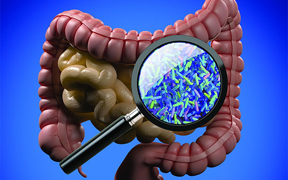 Unlocking the Secrets of the Gut Microbiome - IFT.org
