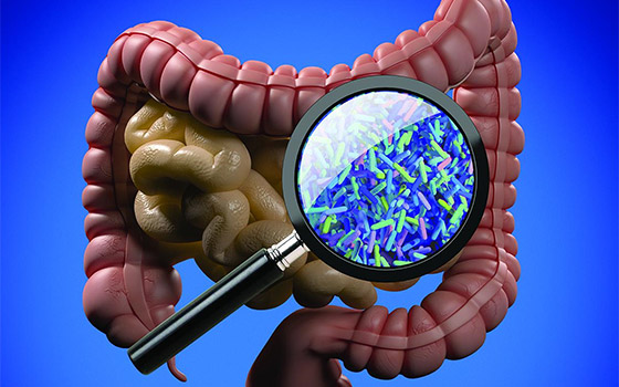 Unlocking the Secrets of the Gut Microbiome