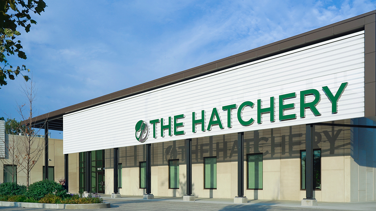 The Hatchery in Chicago