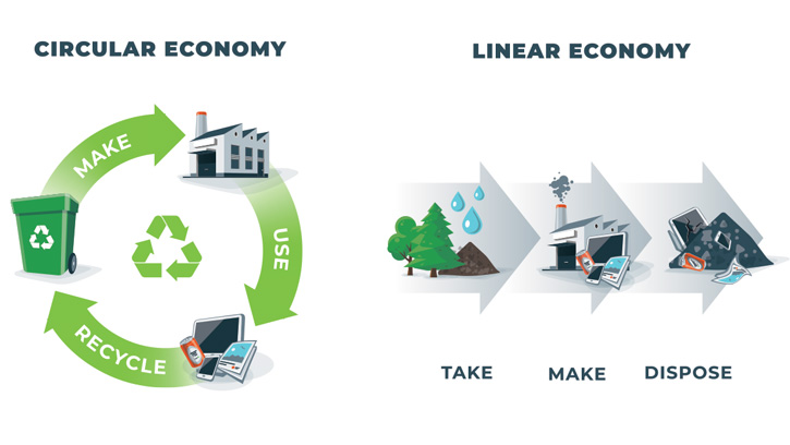 circular and linear economy
