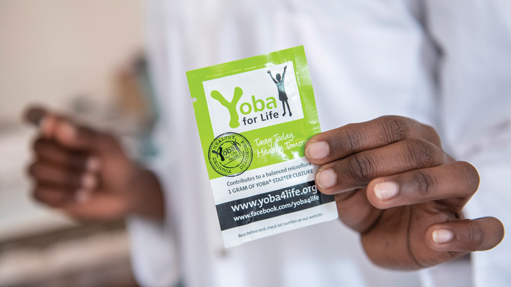 Yoba starter culture