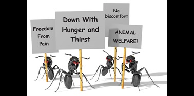 insects protesting