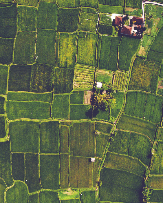 Farmland Aerial View