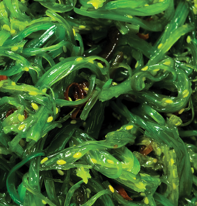 Believer Meats Poised for U.S. Expansion, Seaweed as Food and Fuel