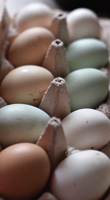 Multi-color eggs