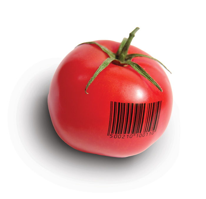 Tomato with Generic Bar Code