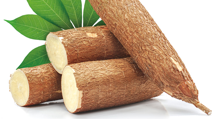 Fresh cassava root.