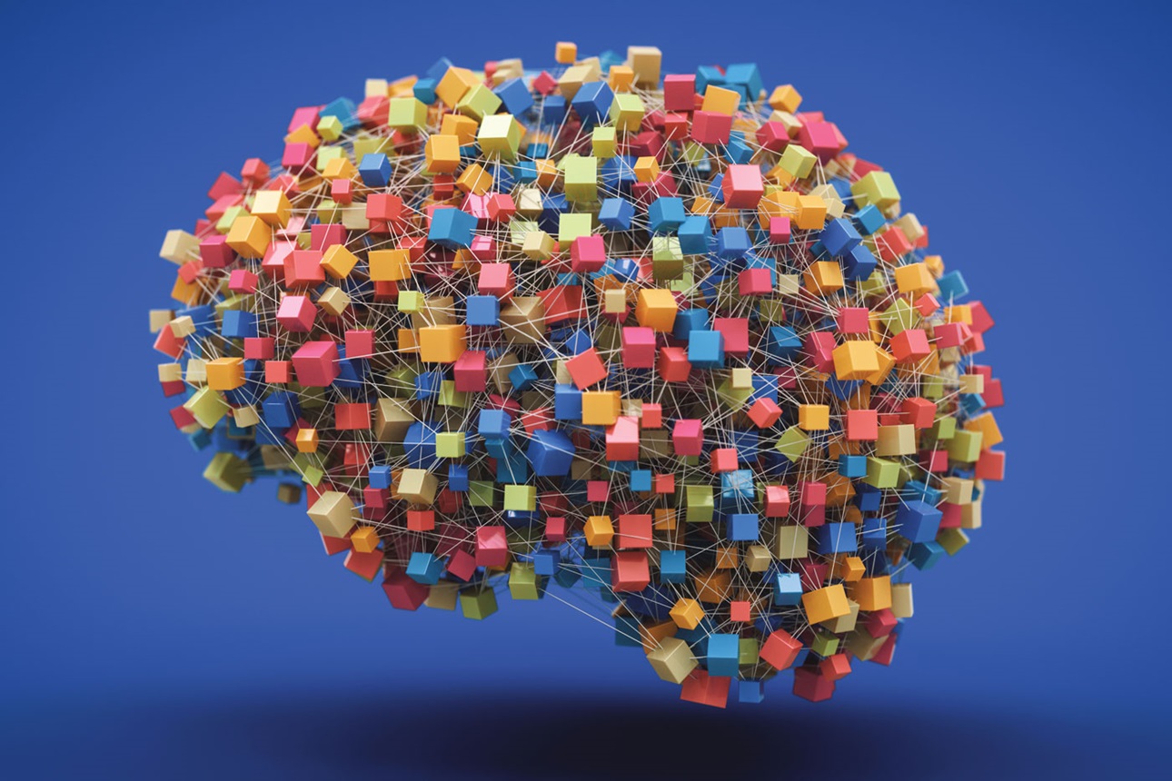 Network of interconnected, colorful boxes forming the shape of a human brain