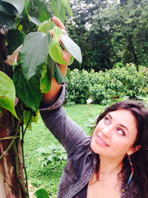 Belize Cacao Farm