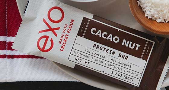 Exo Protein Bar made with cricket flour