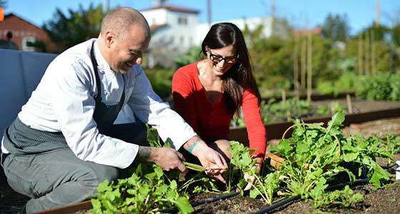 Chef Kyle Connaughton & his wife farming