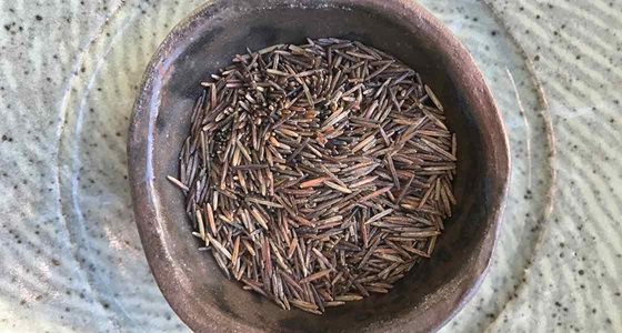 Hand-Harvested Wild Rice