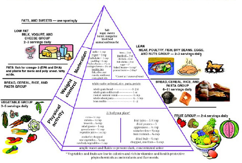 FOOD GUIDE PYRAMID FOR OLDER AMERICANS