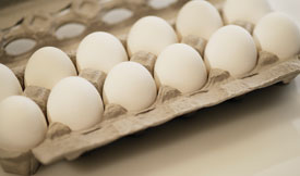 Keeping eggs safe involves a number of preharvest and postharvest methods.
