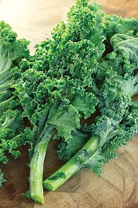Compounds from vegetables like kale as well as fruits are incorporated in powders used to formulate combat rations for soldiers.