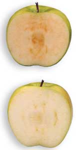 Arctic Granny (bottom) doesn’t brown like a conventional Granny (top).