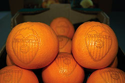 CO2 laser labels on oranges