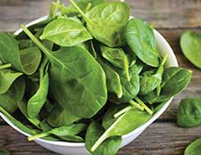 Spinach