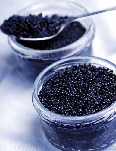 Caviar