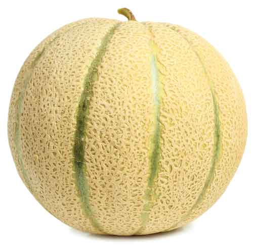 Cantaloupe