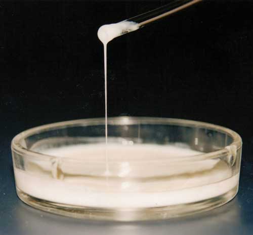 Natural dairy thickener