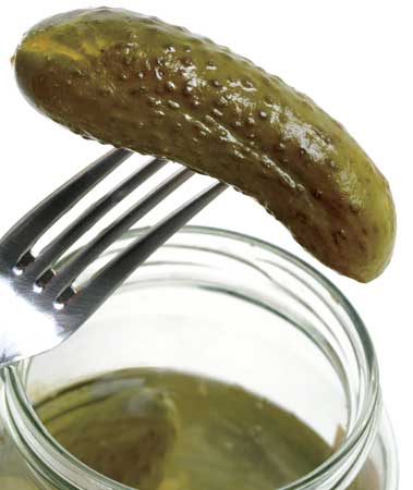 Pickle