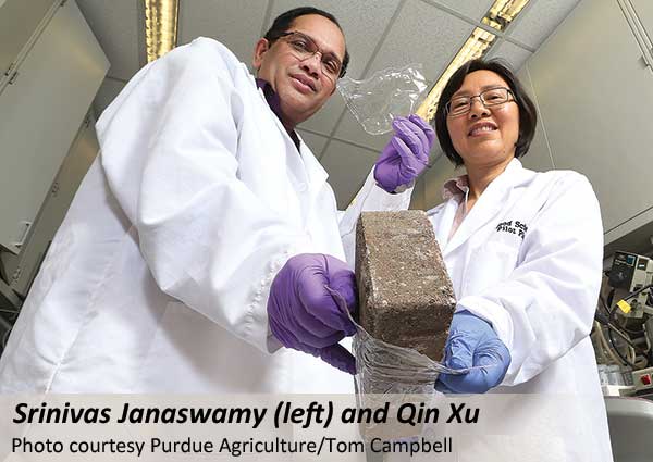 Srinivas Janaswamy (left) and Qin Xu