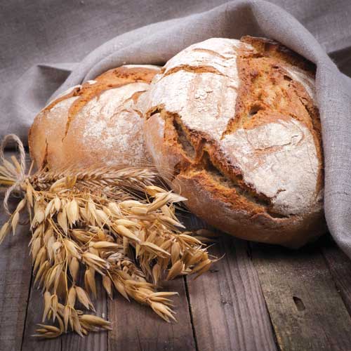 Sourdough breads