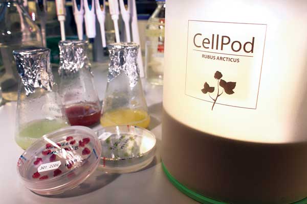 CellPod