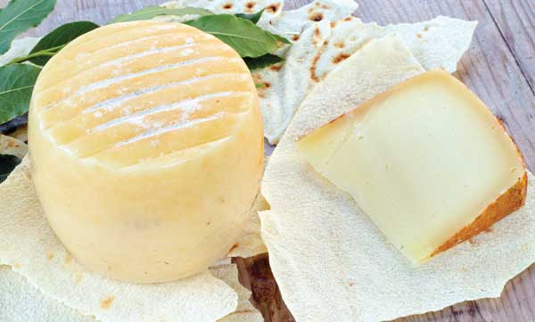 Sheep’s milk cheese