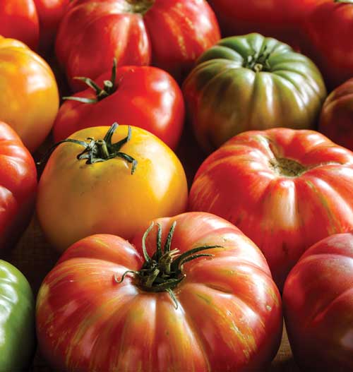 Heirloom tomatoes